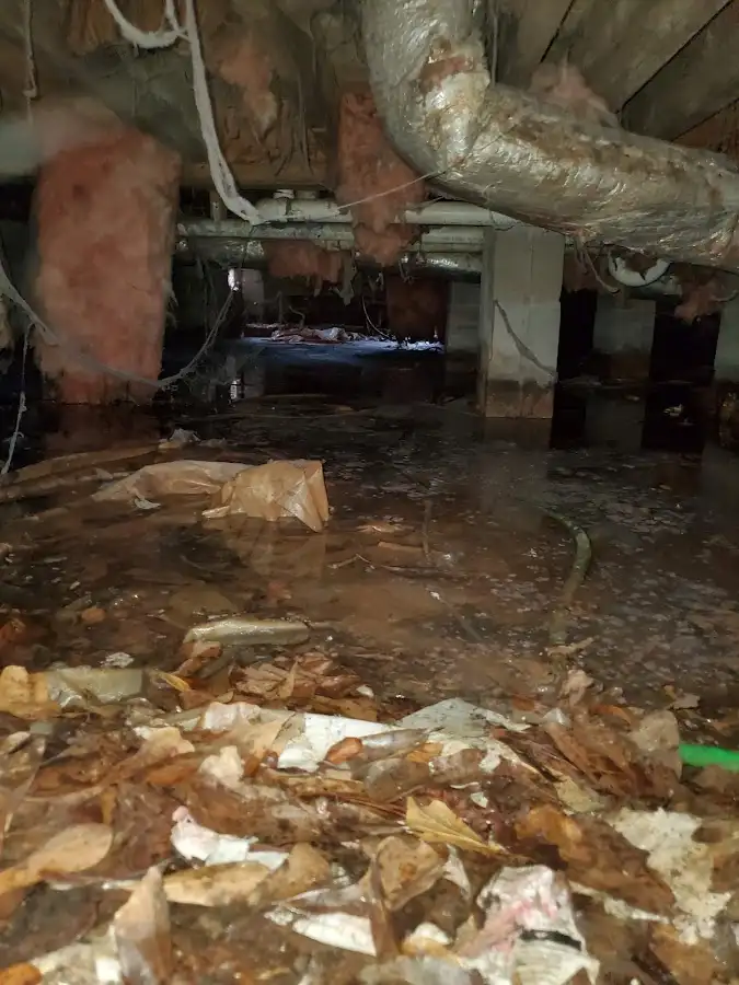 Crawl space flood assessment for Leak Detection & Repair in Muskego