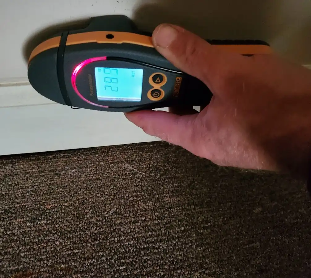 Moisture detection at baseboard during Sewage Cleanup & Sanitation in Muskego